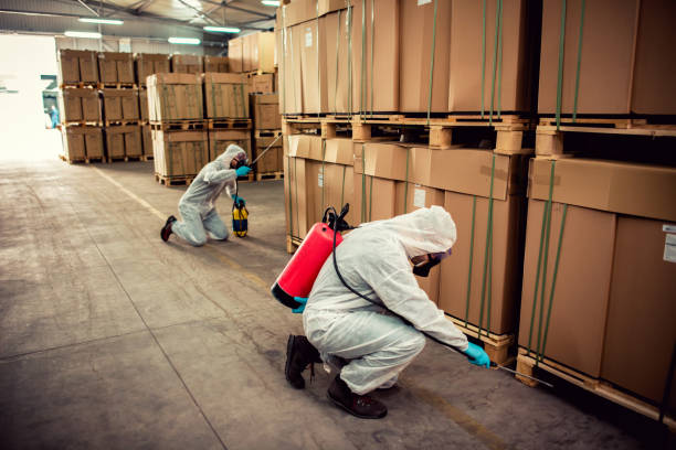 Best Rat Extermination Near Me  in Singac, NJ