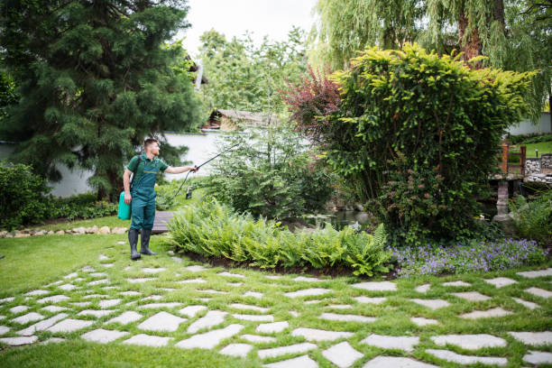 Best Exterminator Services  in Singac, NJ