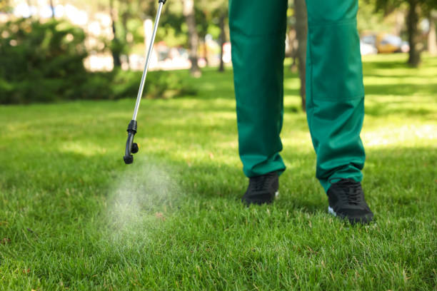 Best Local Pest Control Services  in Singac, NJ