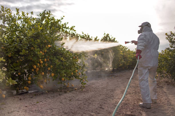 Best Best Pest Control Near Me  in Singac, NJ