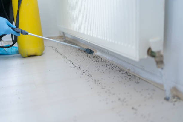 Best Pest Control Near Me in Singac, NJ